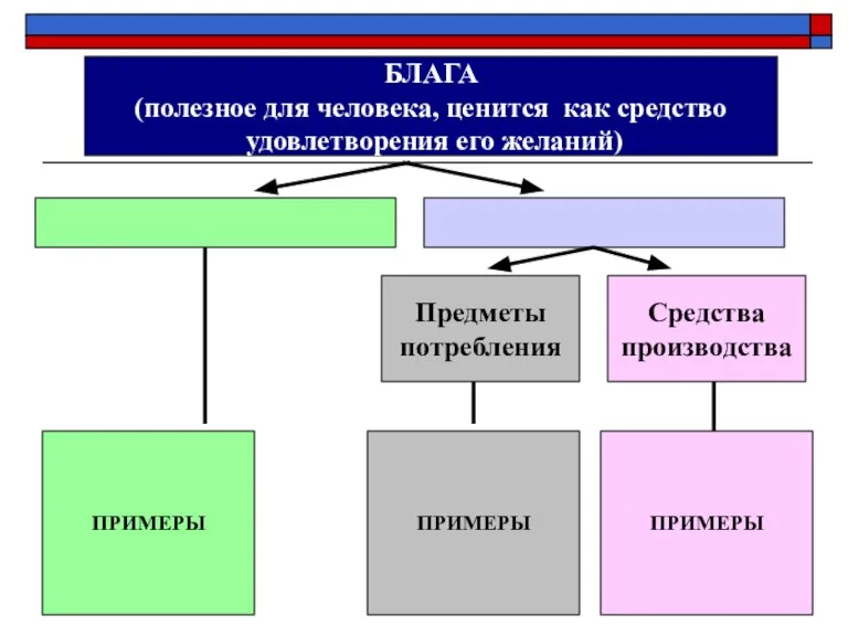 БЛАГА (полезное для человека, ценится как средство удовлетворения его желаний) Предметы потребления