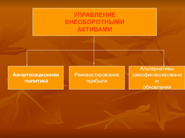 УПРАВЛЕНИЕ ВНЕОБОРОТНЫМИ АКТИВАМИ Амортизационная политика Реинвестирование прибыли Альтернативы самофинансированию обновления