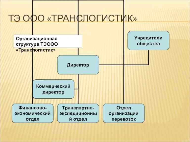 ТЭ ООО «ТРАНСЛОГИСТИК»