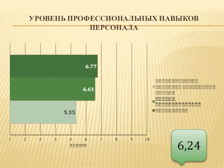 УРОВЕНЬ ПРОФЕССИОНАЛЬНЫХ НАВЫКОВ ПЕРСОНАЛА 6,24