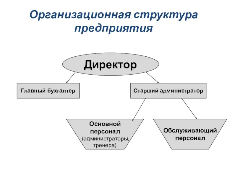 Организационная структура предприятия Директор Главный бухгалтер Старший администратор Основной персонал (администраторы, тренера) Обслуживающий персонал