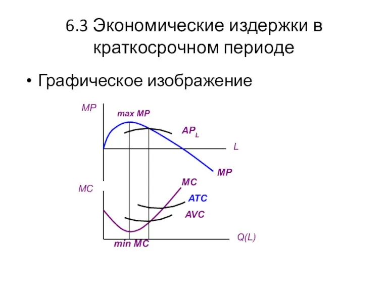 6.3 Экономические издержки в краткосрочном периоде Графическое изображение MP