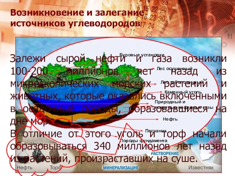 Залежи сырой нефти и газа возникли 100-200 миллионов лет назад из микроскопических