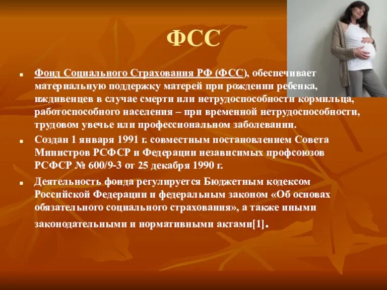 ФСС Фонд Социального Страхования РФ (ФСС), обеспечивает материальную поддержку матерей при рождении