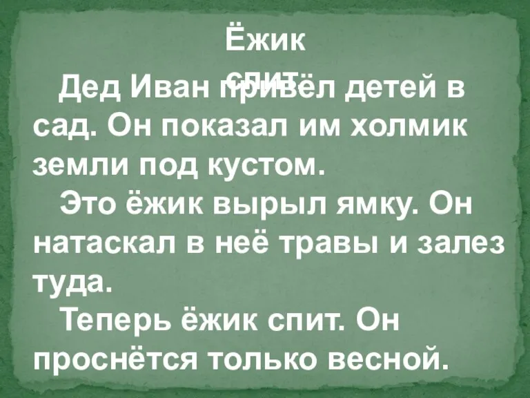 Дед Иван привёл детей в сад. Он показал им холмик земли под