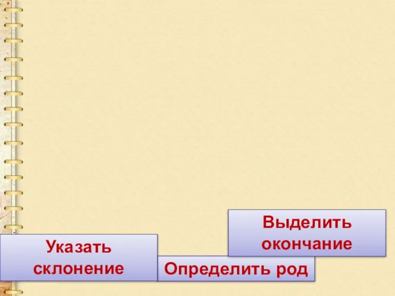 Определить род Выделить окончание Указать склонение