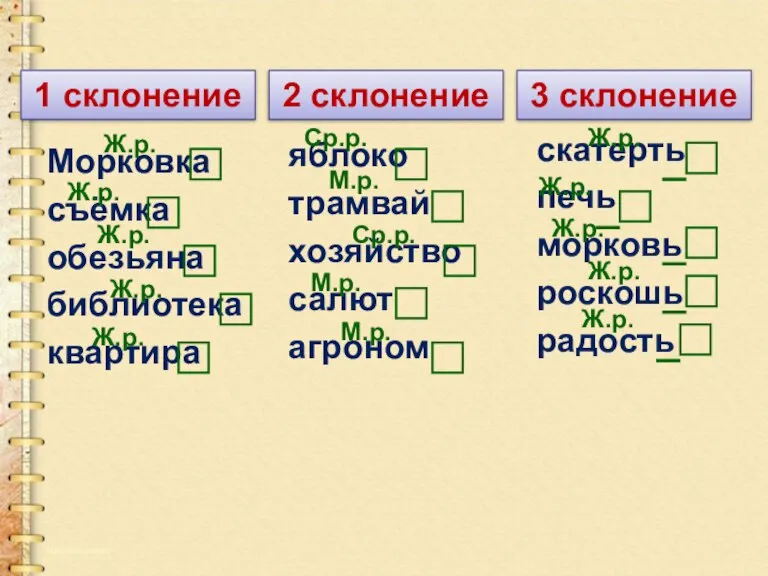 1 склонение 2 склонение 3 склонение Морковка съёмка обезьяна библиотека квартира яблоко