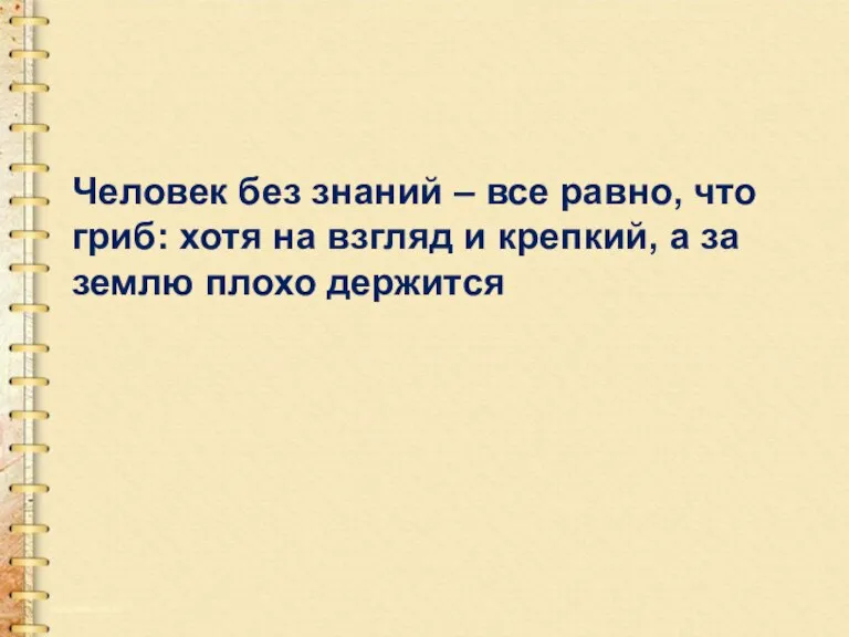 Человек без знаний – все равно, что гриб: хотя на взгляд и