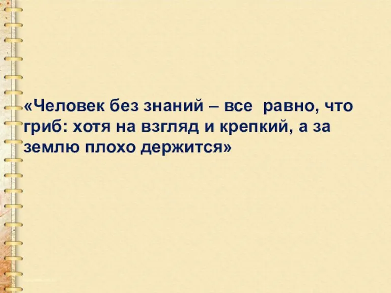 «Человек без знаний – все равно, что гриб: хотя на взгляд и