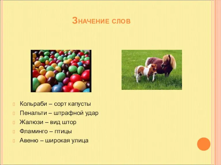 Значение слов Кольраби – сорт капусты Пенальти – штрафной удар Жалюзи –