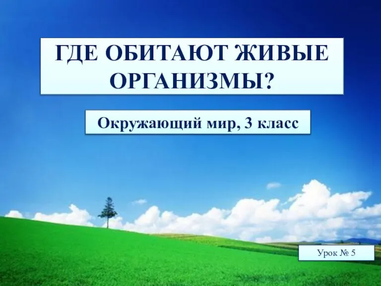 Презентация на тему где обитают живые организмы 3 класс