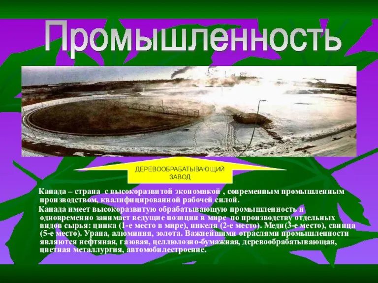 Канада – страна с высокоразвитой экономикой , современным промышленным производством, квалифицированной рабочей