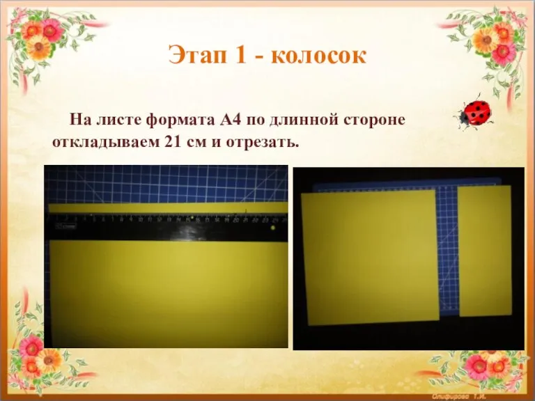 Этап 1 - колосок На листе формата А4 по длинной стороне откладываем 21 см и отрезать.