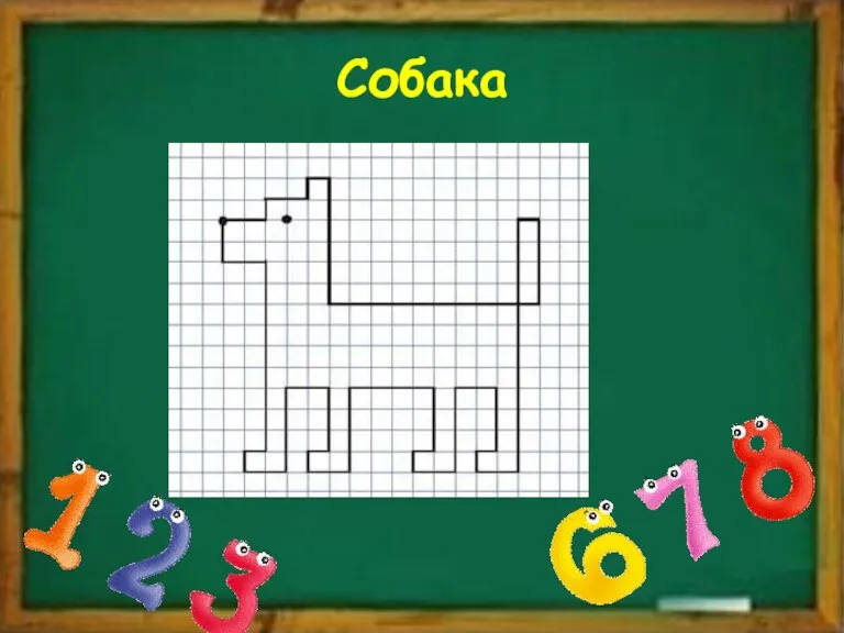 Собака