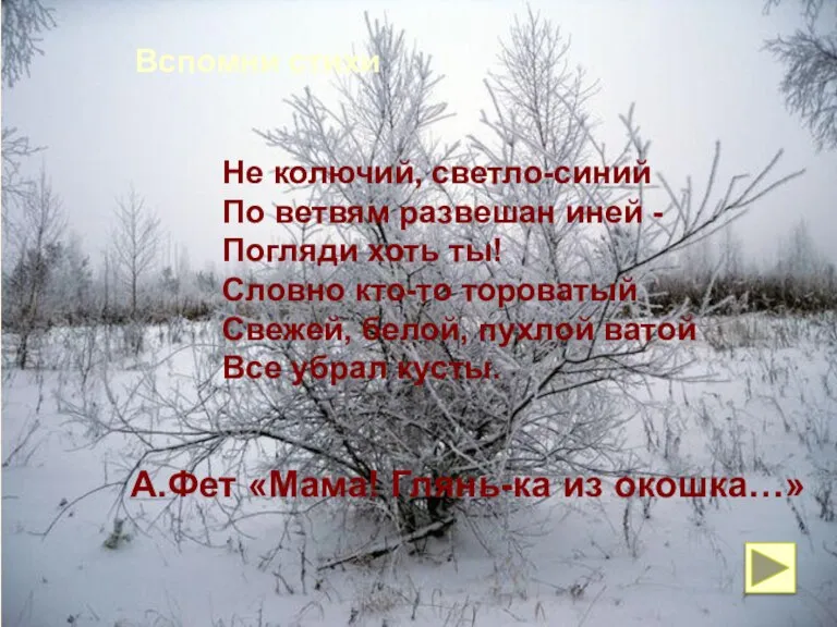 Вспомни стихи Не колючий, светло-синий По ветвям развешан иней - Погляди хоть