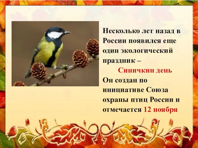 Несколько лет назад в России появился еще один экологический праздник – Синичкин