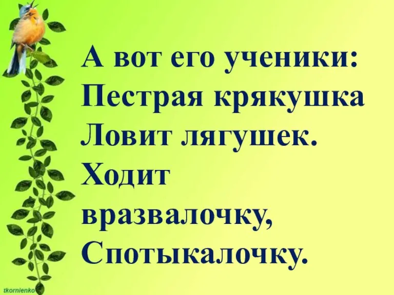 А вот его ученики: Пестрая крякушка Ловит лягушек. Ходит вразвалочку, Спотыкалочку.