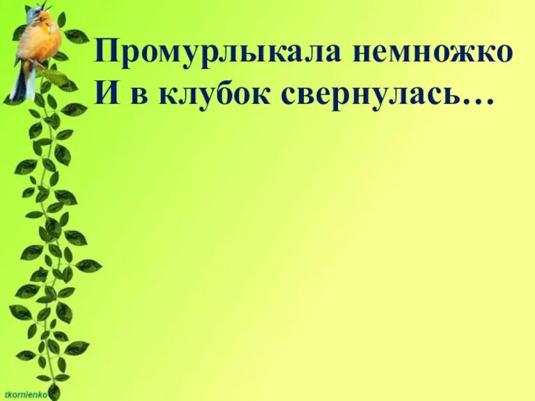 Промурлыкала немножко И в клубок свернулась…