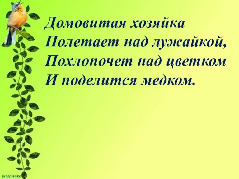 Домовитая хозяйка Полетает над лужайкой, Похлопочет над цветком И поделится медком.