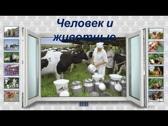 Человек и животные