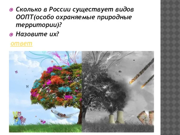 Сколько в России существует видов ООПТ(особо охраняемые природные территории)? Назовите их? ответ