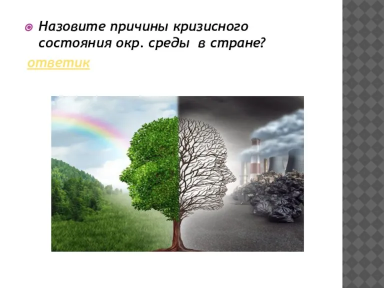 Назовите причины кризисного состояния окр. среды в стране? ответик