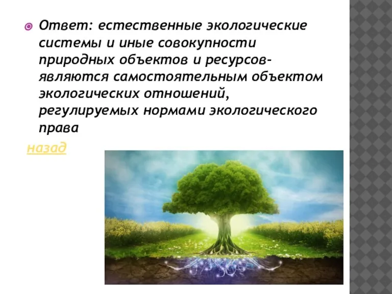 Ответ: естественные экологические системы и иные совокупности природных объектов и ресурсов- являются