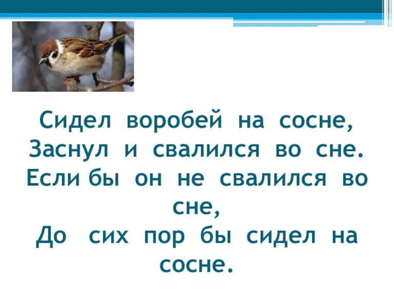 Сидел воробей на сосне, Заснул и свалился во сне. Если бы он