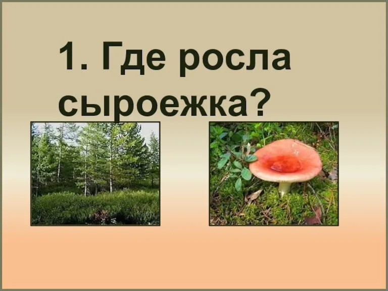 1. Где росла сыроежка?