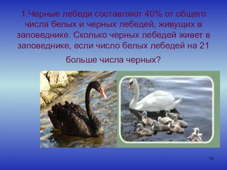 1.Черные лебеди составляют 40% от общего числа белых и черных лебедей, живущих