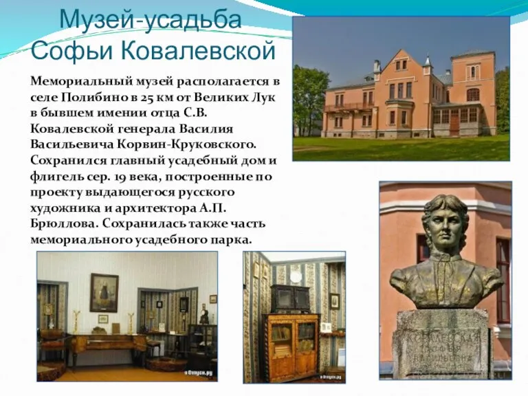 Музей-усадьба Софьи Ковалевской Мемориальный музей располагается в селе Полибино в 25 км