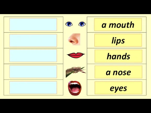 hands lips a mouth a nose eyes