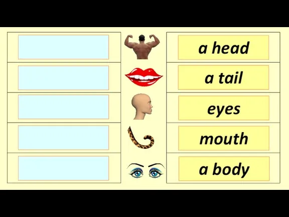 a head a tail eyes a body mouth