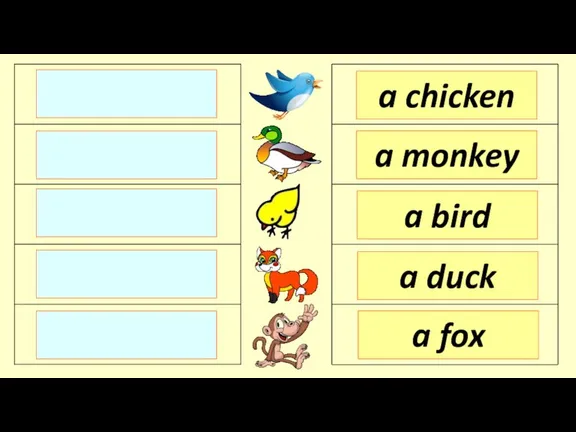 a chicken a monkey a bird a fox a duck