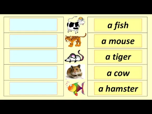 a fish a mouse a tiger a hamster a cow