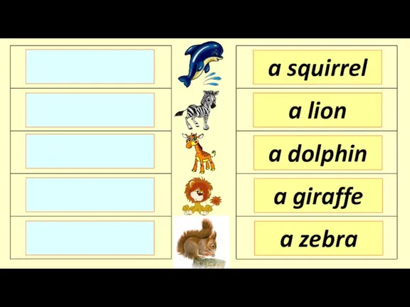 a squirrel a lion a dolphin a zebra a giraffe