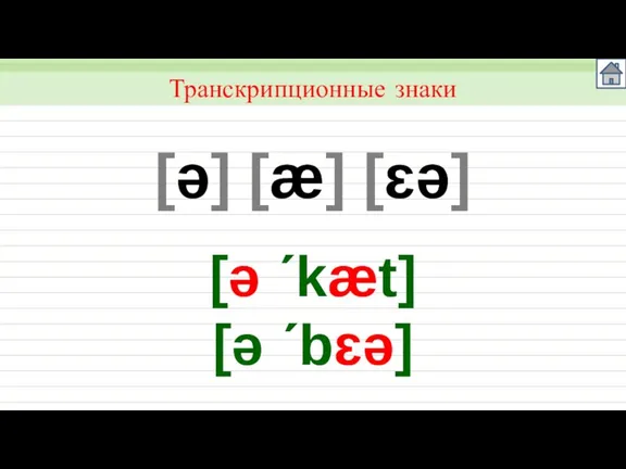 [ǝ] [æ] [ɛə] Транскрипционные знаки [ǝ ´kæt] [ǝ ´bɛə]