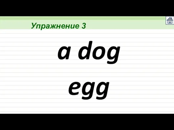 Упражнение 3 a dog egg