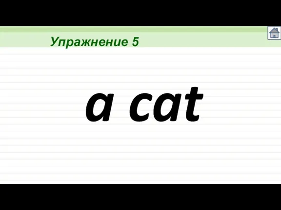 Упражнение 5 a cat