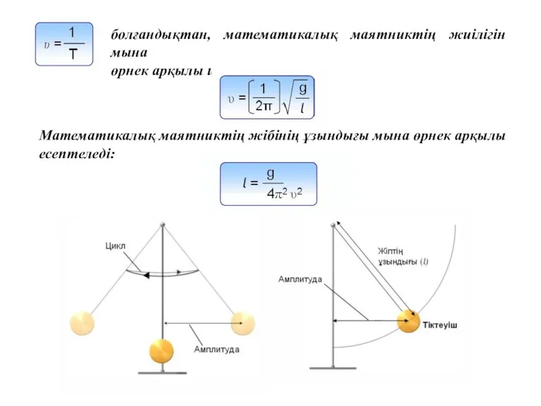 Математикалық маятниктің жібінің ұзындығы мына өрнек арқылы есептеледі: болғандықтан, математикалық маятниктің жиілігін