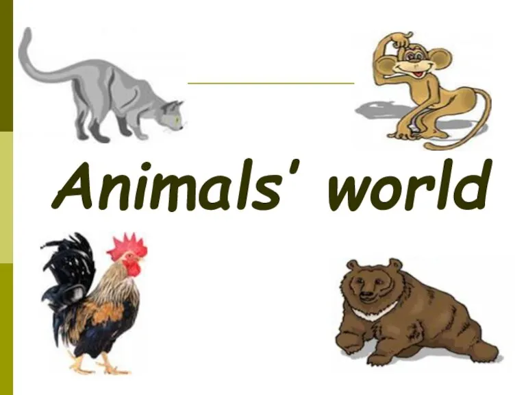 Animals’ world