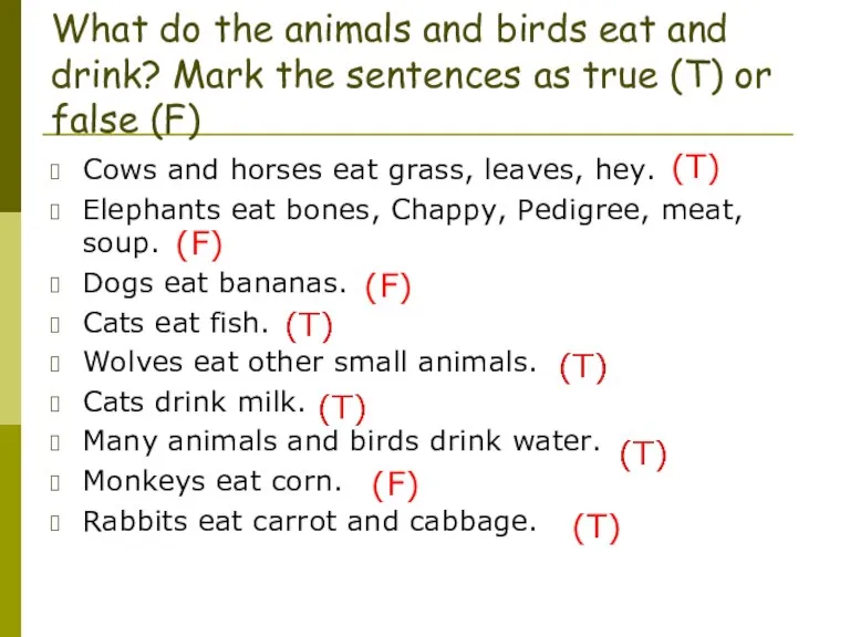 What do the animals and birds eat and drink? Mark the sentences