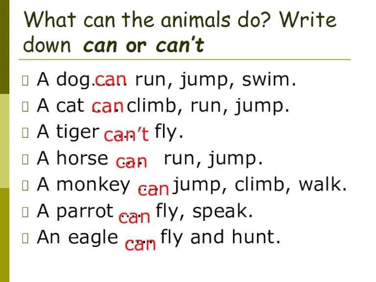 What can the animals do? Write down can or can’t A dog…….