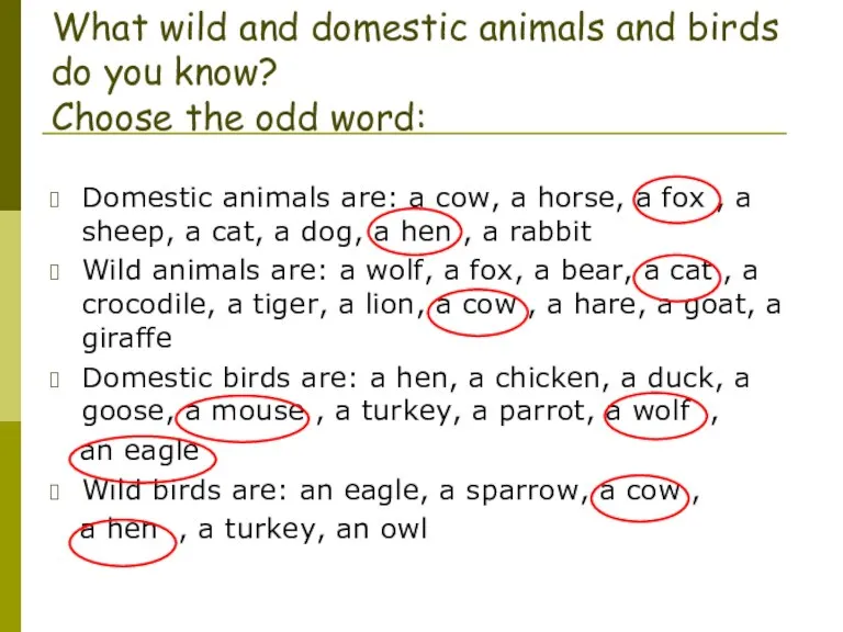 What wild and domestic animals and birds do you know? Choose the