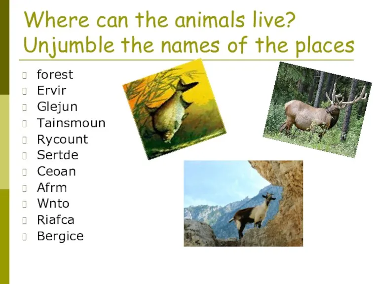 Where can the animals live? Unjumble the names of the places forest