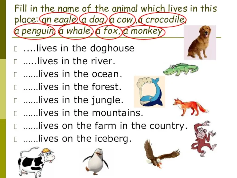 Fill in the name of the animal which lives in this place: