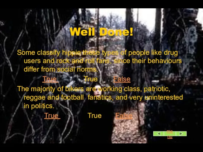 Well Done! Some classify hippie these types of people like drug users