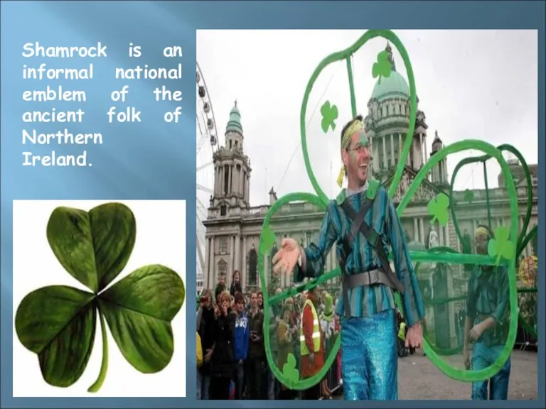 Shamrock is an informal national emblem of the ancient folk of Northern Ireland.