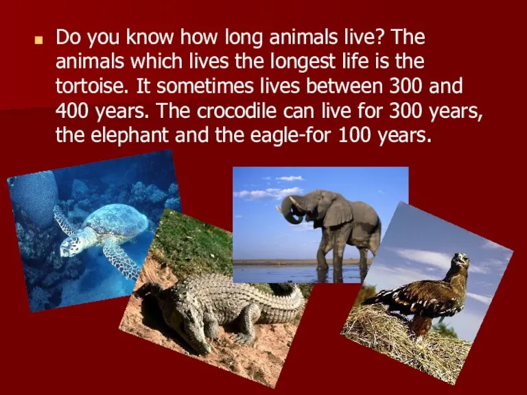 Do you know how long animals live? The animals which lives the