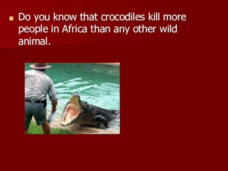 Do you know that crocodiles kill more people in Africa than any other wild animal.